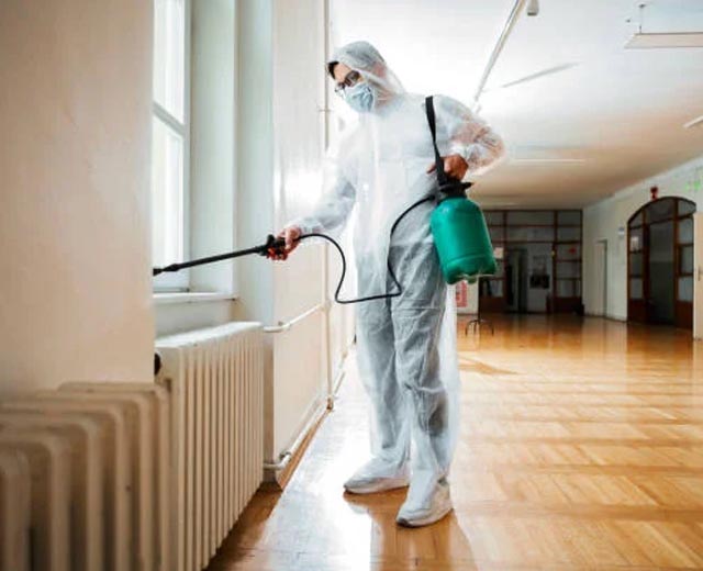 Dératisation par 3D Hygiène à Montreuil (93)